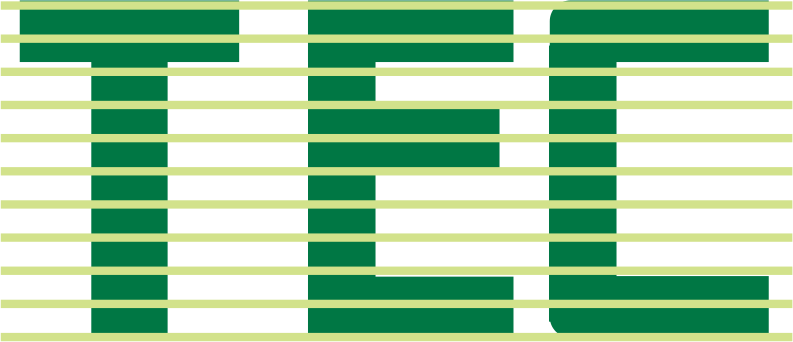Tayo Emmanuel and co brand logo
